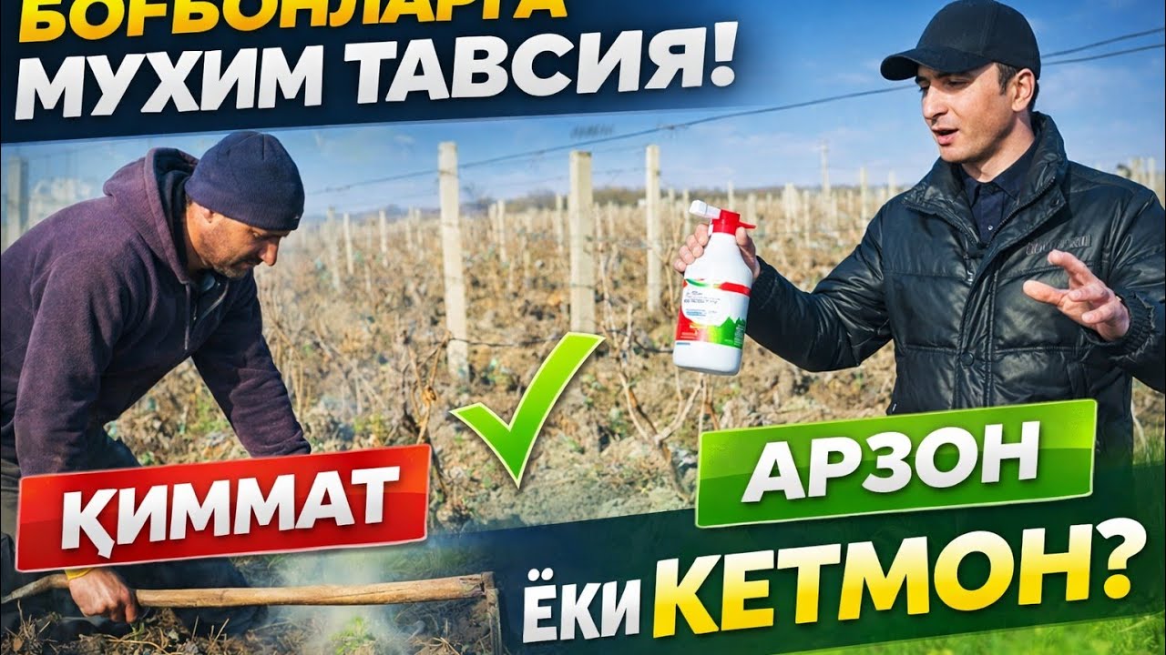 “KETMON yoki GERBITSID? Qaysi biri bog‘ni qutqaradi?”