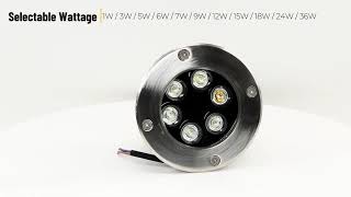 LED Inground Uplight – Durable Outdoor Lighting for Landscape & Architecture