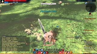 TERA BUG SLAYER COMBO CHAIN