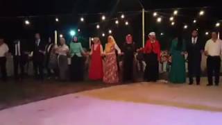 KOMA DILAN HAY CAN CANE