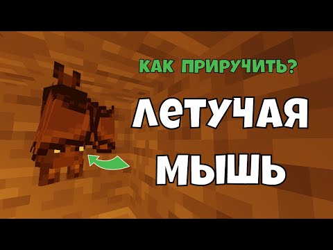 Как Приручить Летучую Мышь в Майнкрафте? Реалистичный Майнкрафт