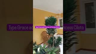 Princess Resort Ciloto, Info 085864690864