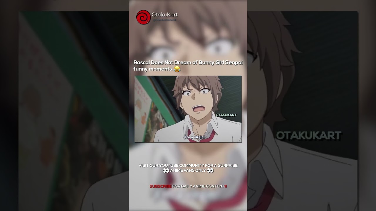 Rascal Does Not Dream of Bunny Girl Senpai funny moments 😂 