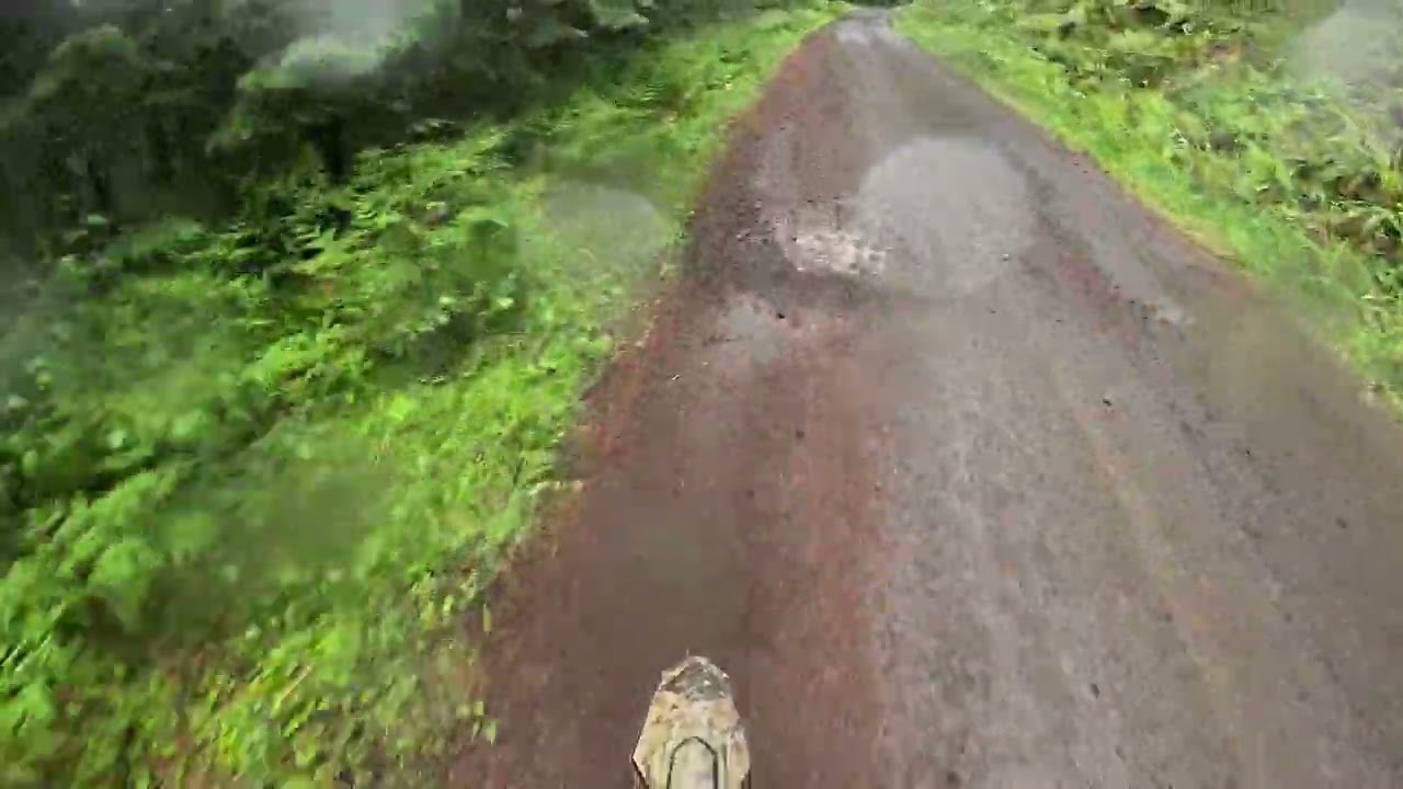 bear cub ladee flats surron ultra bee