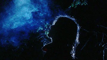 SURFING ON A MOONBEAM BY SEPH NOMAD (OFFICIAL MUSIC VIDEO)