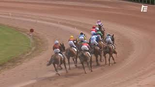 Vidéo de la course PMU PRIX DE LA PLACE BALARD