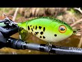 Frog Plopper vs. LOADED River