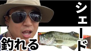 バス釣り　日照りの日にはシェードに投げる