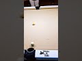 Pause. Predict. Then watch till the end. 🎥🎱   #billiards #snooker #8ball #pool