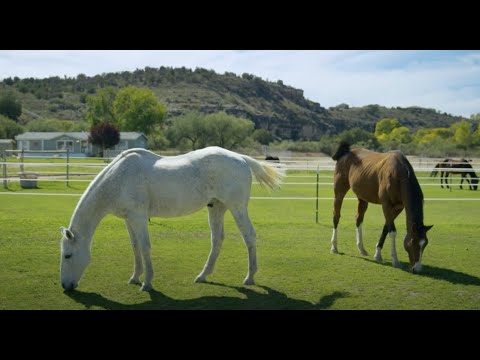 Sedona Sky Academy - Quick Program Tour