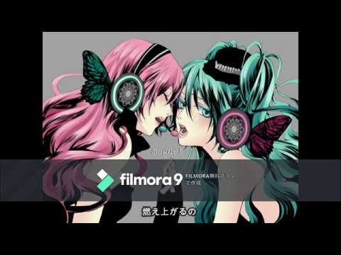 【キュウリ】magnetを歌ってみた