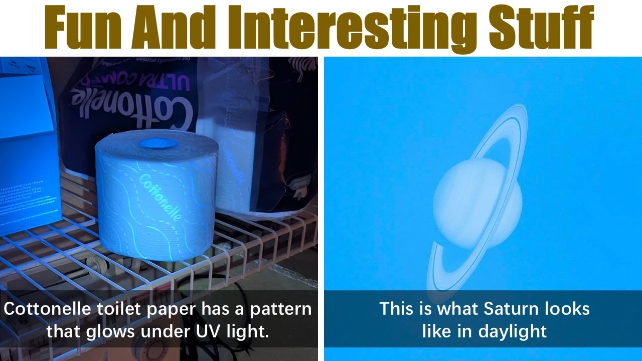 Fun And Interesting Stuff That Will Fascinate You