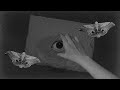 【関西人が】悪魔の踊り方/うるみや【歌ってみた】【クロノヴァ】
