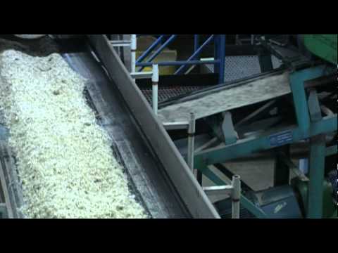 Video: Hvilken del af sukkerrør bruges til at lave sukker?