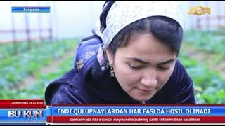 Issiqxonada sifatli, eksportbop qishloq xo‘jaligi mahsulotlarini yetishtirishda ko‘maklashishmoqda. Issiqxonada sifatli, eksportbop qishloq xo‘jaligi mahsulotlarini yetishtirishda ko‘maklashishmoqda.