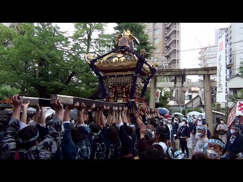 令和四年 素盞雄神社天王祭 町会神輿連合渡御その3 上町おまけ