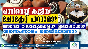 പന്നിനെയ്യ് കൂട്ടിയ ചോക്ലേറ്റ് ഹറാമോ? | Latest Speech | Muneer Aslami Usthad | Hubburasool Online 