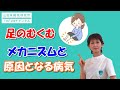 足のむくみは”何科”にかかるの？内科？整形外科？