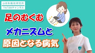 足のむくみは”何科”にかかるの？内科？整形外科？