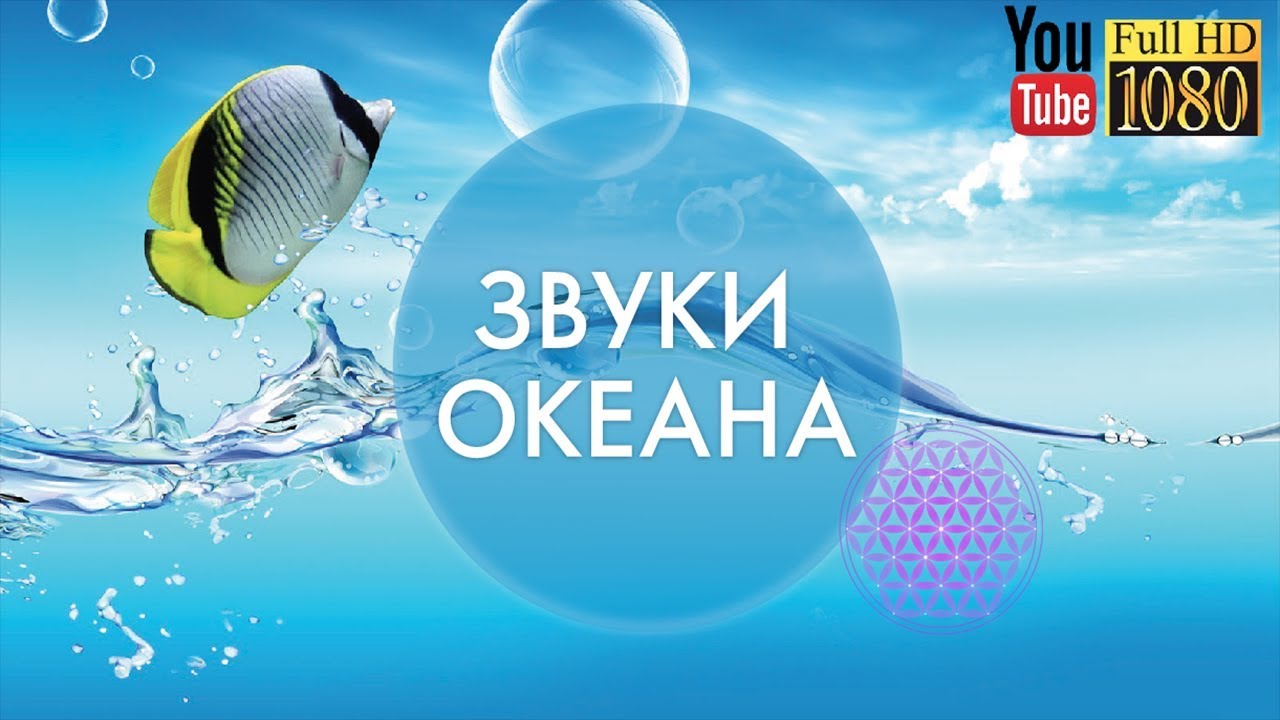 Лаунж музыка киев