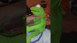 Celebrity 1999 TYCO MAGIC TALKING KERMIT THE FROG REVIEW Wealth