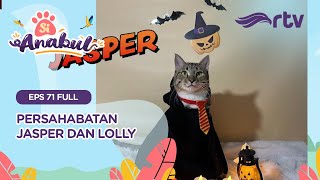 RTV's Pet - Jasper the Friendliest Cat