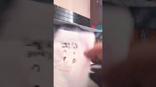 labubu bonxing