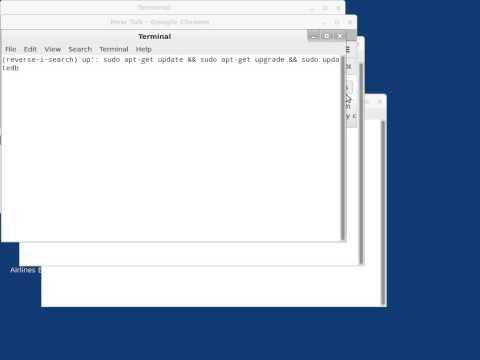BUG REPORT Linux Mint 13 bars on top and bottom missing hot keys do not work after 30APR13 upgrade