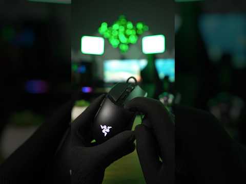 Immerse yourself with