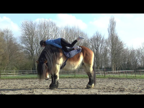 our-horses-~-bloopers,-fails-&-funny-moments!!