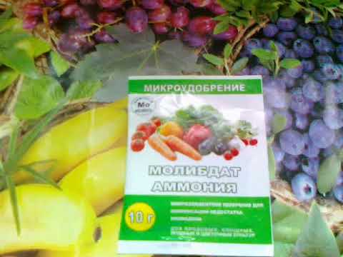 Бейне: Аммоний молибдат реагентін қалай жасауға болады?