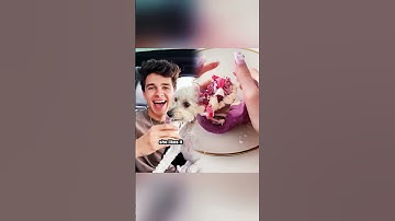 Part 43  Like,comment,subscribe! #Youtube #pov #shorts#OddlySatisfying