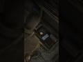 Hidden Jewelry &amp; Cash Location in Red Dead Redemption 2 💰💎 #rdr2