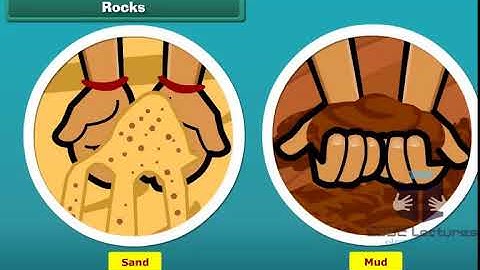 Rock Soil and Mineral Class 3 EVS by CBSE Lectures