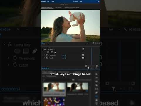 How to Show Transparent Backgrounds in Adobe Premiere Pro