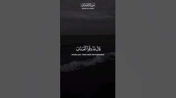 تلاوة إبداعية للقارئ عبدالرحمن ناجي محاكاي بخشوع كامل لسورة الأحقاف #عبدالرحمن_ناجي #محمد_اللحيدان
