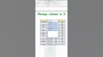 Make Excel Interactive with Slicer! 🔘💡 | Filter Like a Pro #excel#smartexcel #excelshortcuts#slicer