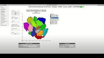 Discover the ease of Single cell Analyses in the open online R2platform