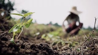 Fighting malnutrition in the Philippines | UNICEF