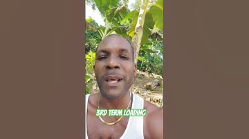 PNP are a set of dvnce & illiterate people #andrewholness #jlp