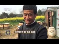 20160425 致富经  稀罕的蜂蜜 说赚就赚