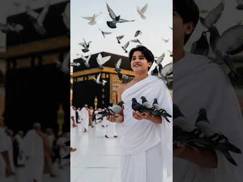 المنشد انس سيد المنشد احمد حسن الاقصري يا طير يا طير فوق