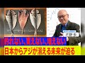 釣れない、買えない、増えない…アジが消える未来。その未来を変える方法。