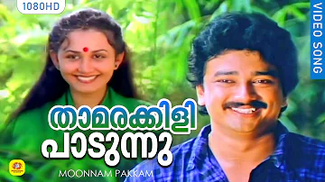 താമരക്കിളി പാടുന്നു  | Thamarakkili Paadunnu | Evergreen Romantic  Song | Moonnam Pakkam | Chithra