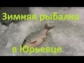 Диалоги о рыбалке - 210- Зимняя рыбалка в Юрьевце, ловля белой рыбы.
