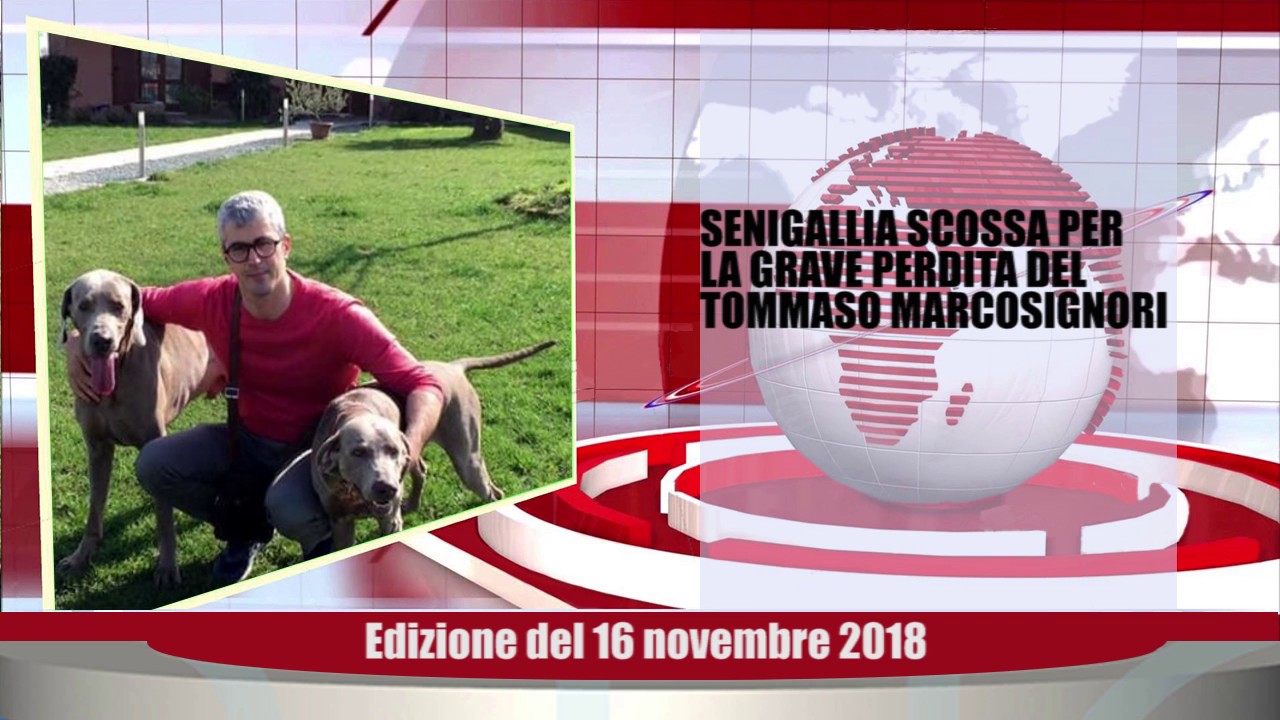 Velluto Notizie Web Tv Senigallia Ed  16 11 2018