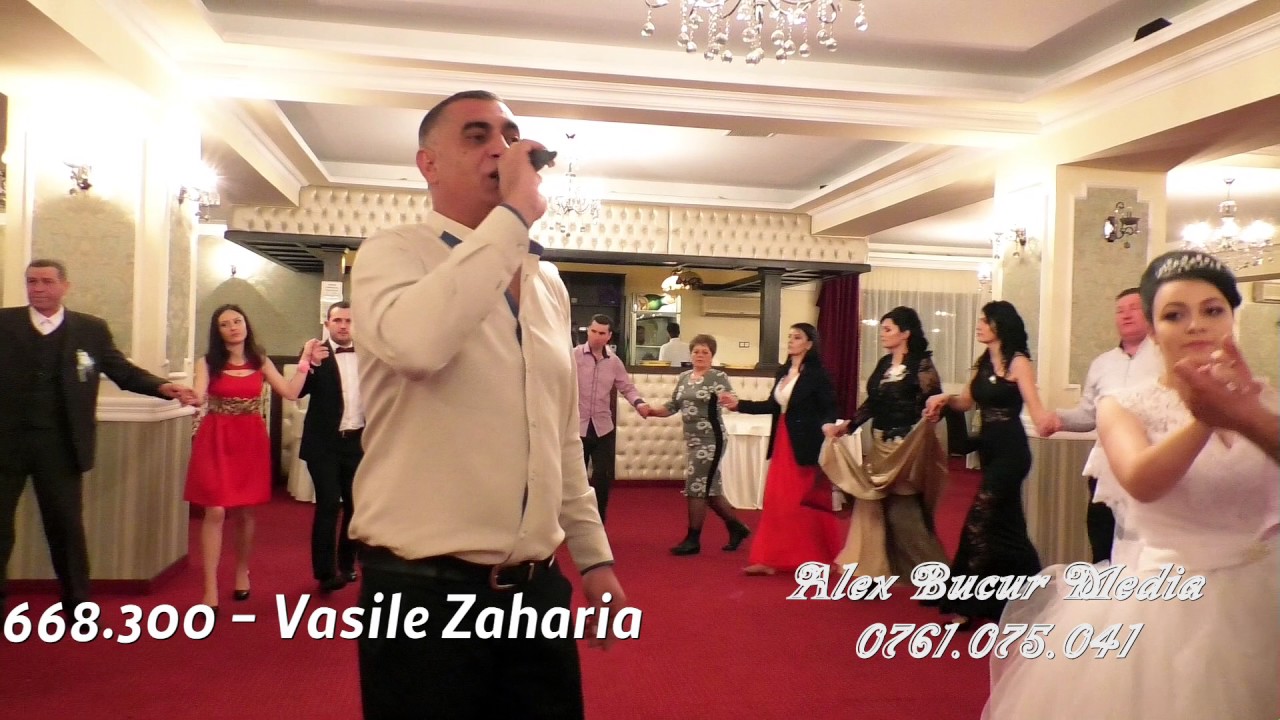 ⁣Vasile si Andrei Zaharia - Colaj Nunta 1 2017 @ABM