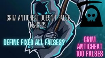 Grim Anticheat has *no* false flags??? (Insane Player Prediction???) (Define is the best?) (1.19)