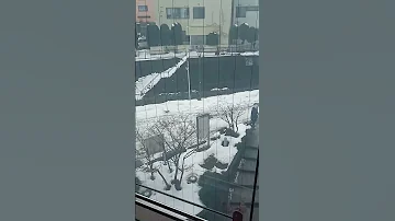 中三弘前店 エレベーター 青森県 弘前市 2022 12 27 Elevator 