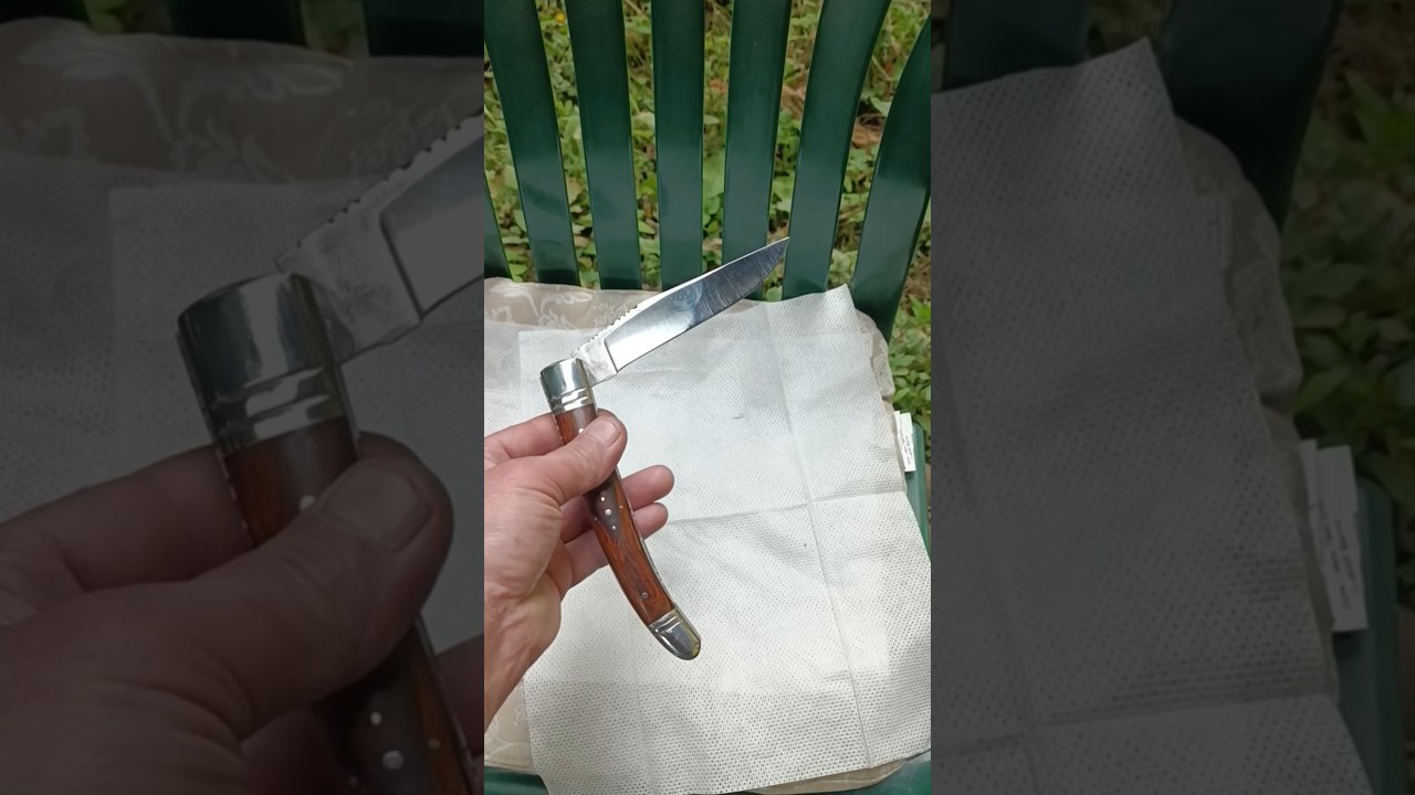 Banned in Germany/Solingen Лютый/Студия